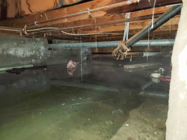 Best Ceiling water damage repair  in Marco Island, FL