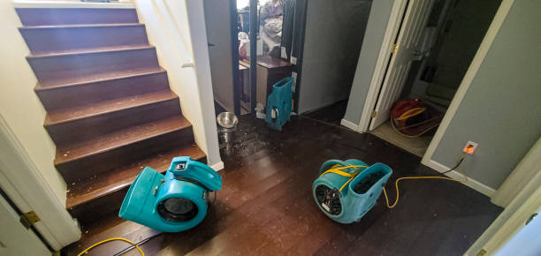 Best Flooded house restoration  in Marco Island, FL