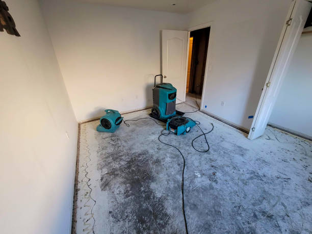 Best Emergency water damage restoration  in Marco Island, FL