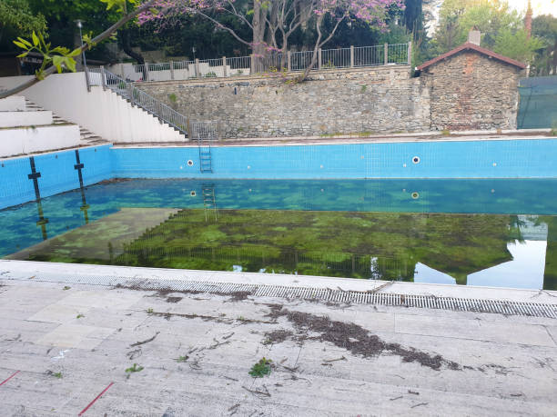 Best Flood restoration services  in Marco Island, FL