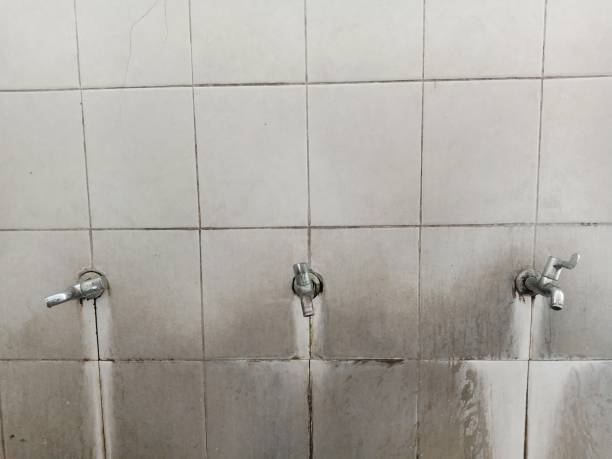 Best Water damage cleanup near me  in Marco Island, FL
