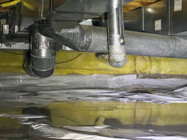 Best Basement water damage restoration  in Marco Island, FL