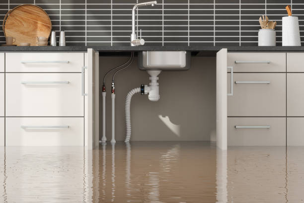 Best Mold removal after water damage  in Marco Island, FL