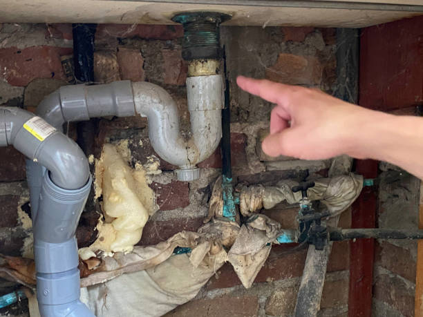  Marco Island, FL Water damage restoration Pros