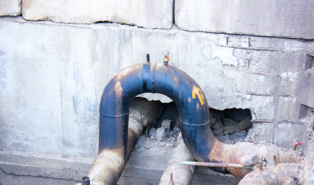 Best Professional water damage repair  in Marco Island, FL