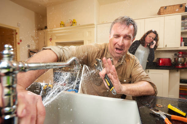 Best Water damage restoration specialists  in Marco Island, FL